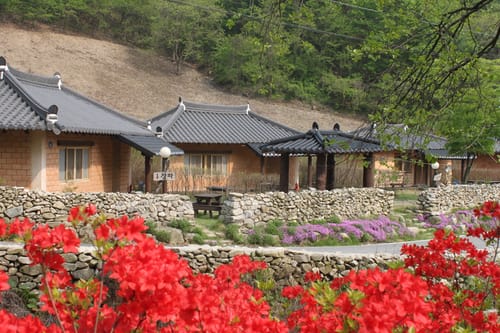 철쭉 핀 안덕마을 황토 숙소