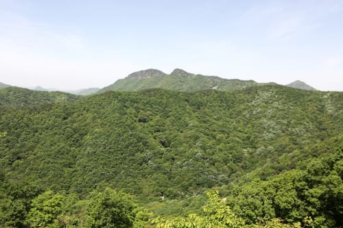 초여름 숲에 덮인 산줄기와 멀리 보이는 바위 봉우리