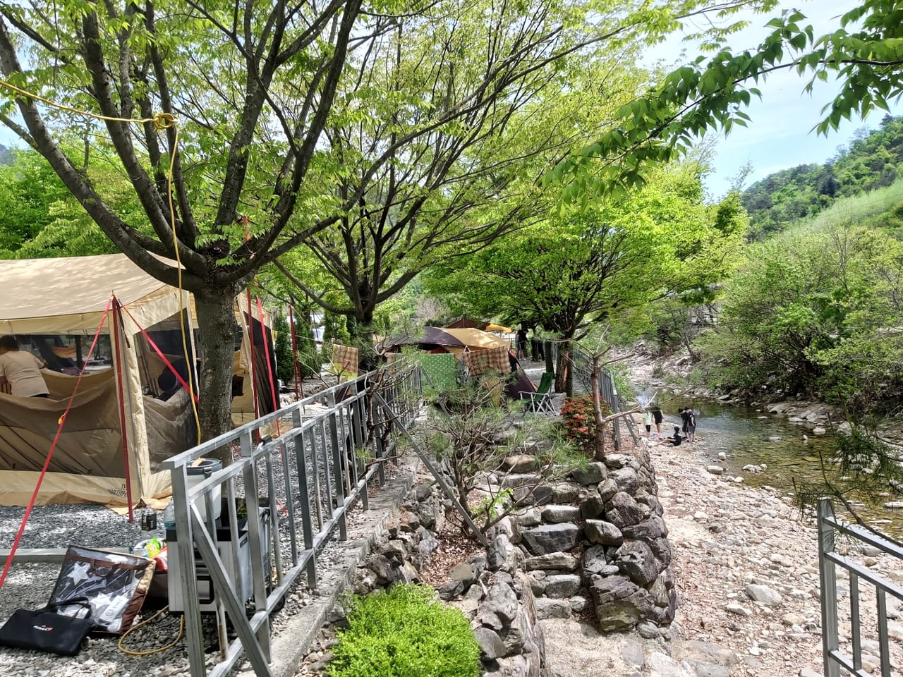 돌담 아래로 맑은 계곡물이 흐르고 나무 그늘 사이 텐트들이 늘어선 캠핑장