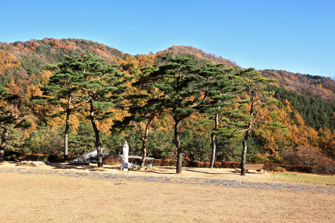 단풍 든 천호산 자락 아래 소나무가 선 잔디밭