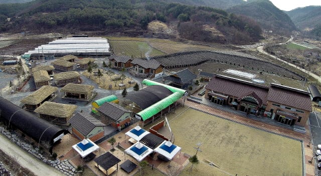 산자락 아래 초가지붕 숙소와 체험 건물, 잔디 운동장이 모인 농촌사랑학교를 위에서 본 모습