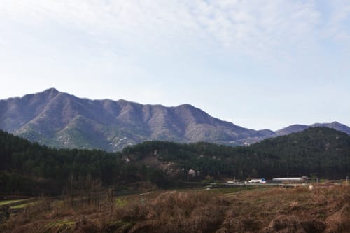 마을 들판 너머로 길게 이어진 경각산 능선