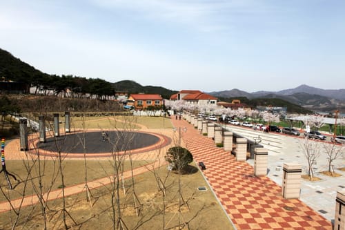 벚꽃이 핀 전북도립미술관 앞 광장과 진입로