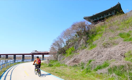 비비정 언덕 아래 강변 자전거길을 달리는 사람, 뒤로 옛 만경강 철교
