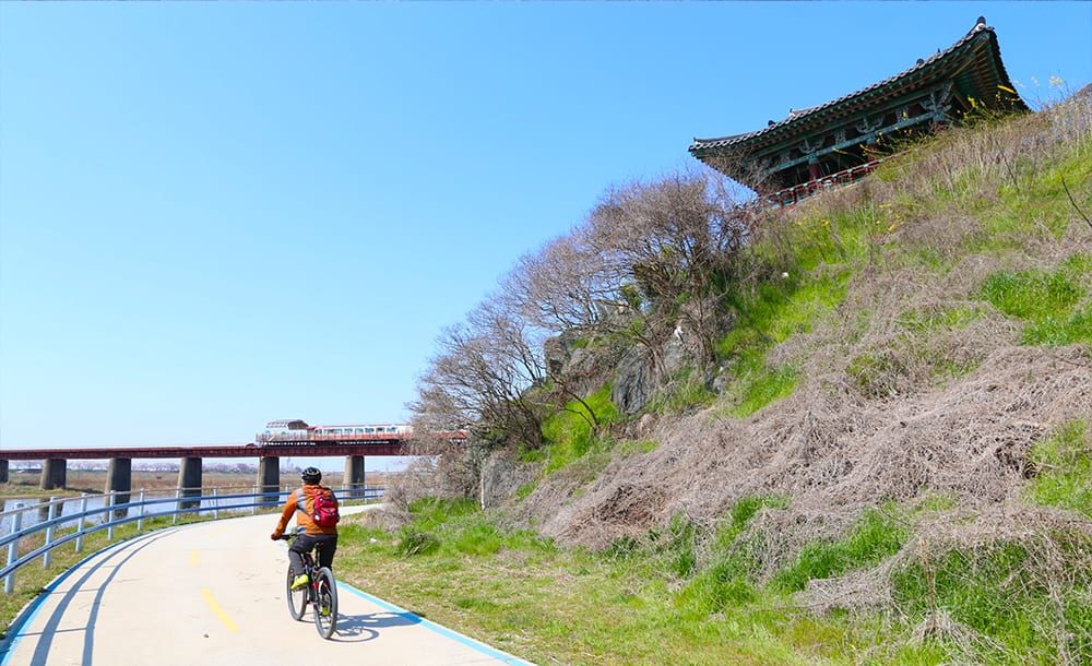 비비정 언덕 아래 강변 자전거길을 달리는 사람, 뒤로 옛 만경강 철교