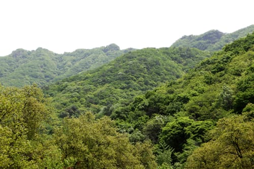 초여름 숲으로 덮여 겹겹이 이어진 써레봉 일대 산줄기