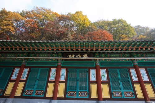 단풍 든 숲 아래 단청을 입힌 원등사 나한전