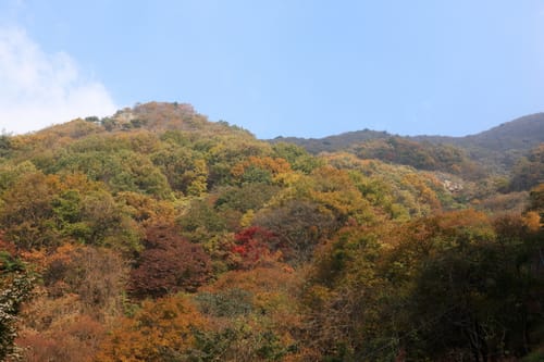 울긋불긋 단풍이 든 원등산 능선