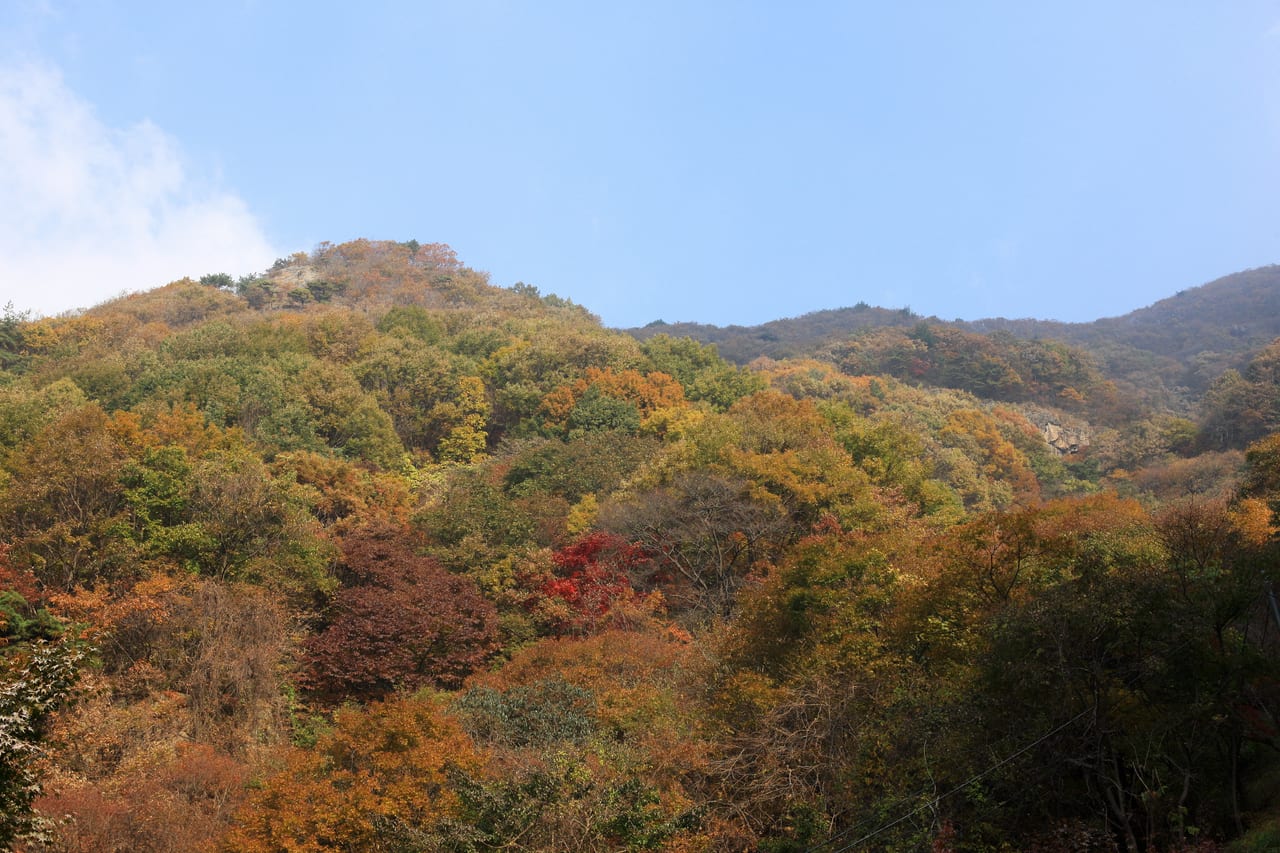 울긋불긋 단풍이 든 원등산 능선